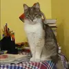 Отзыв от Ольга Наумова